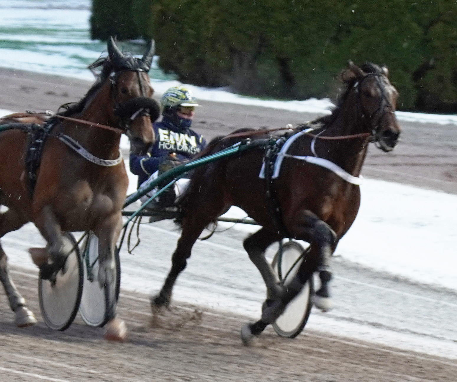 Great Ruler 260121-3